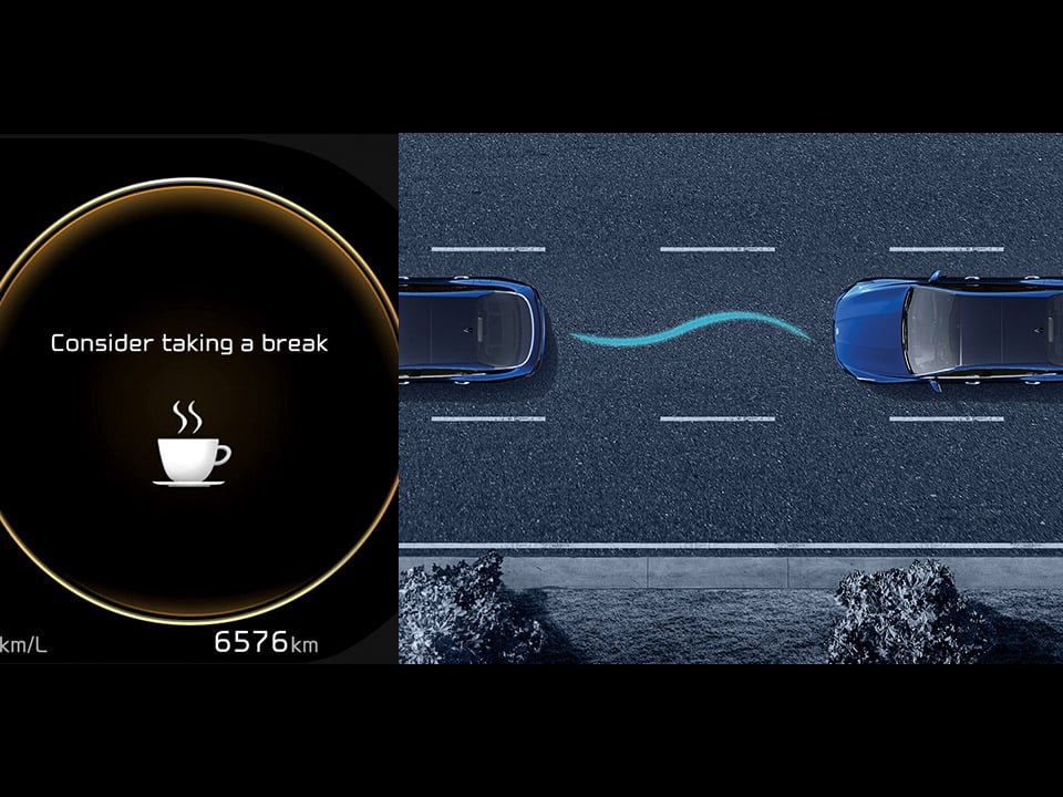 Blind-Spot View Monitor (BVM)